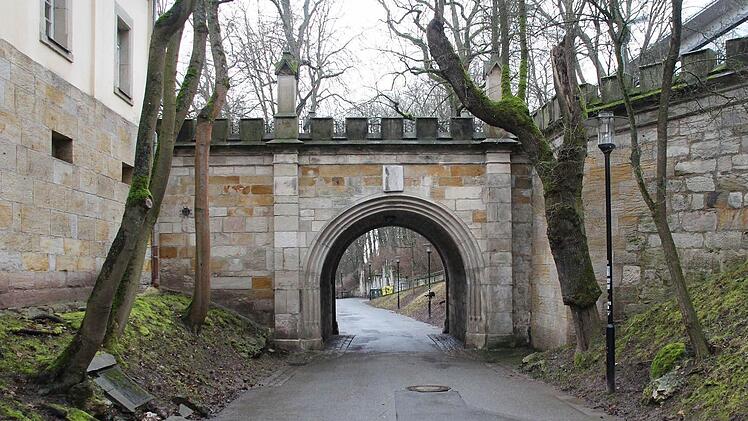 Die Einblattesche (rechts) an der Bürglaßbrücke wird gefällt, ebenso die drei Bäume links, weil sie zu nah an dem Gebäude stehen.