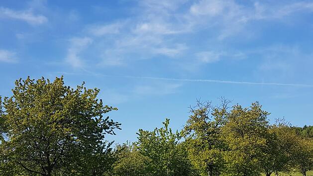 Der Streit um die Folgen der Biotop-Stellung von Streuobstwiesen geht weiter. Foto: Ronald Heck