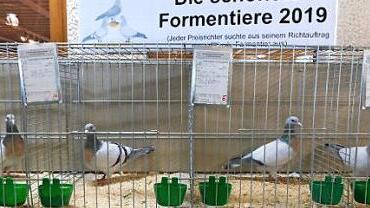 Blick in einer Voliere Foto: Horst Wunner