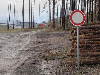 Deutliche Radspuren sind auf dem Beckweg hinter der Raststätte Rhön zu erkennen. Der Gemeinderat machte der inoffiziellen Ausfahrt nun ein Ende.