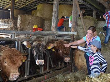 Kinder und Erwachsene hatten Spaß beim Rundgang durch den Stall. Foto: Karl-Heinz Hofmann
