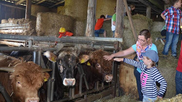 Kinder und Erwachsene hatten Spaß beim Rundgang durch den Stall. Foto: Karl-Heinz Hofmann