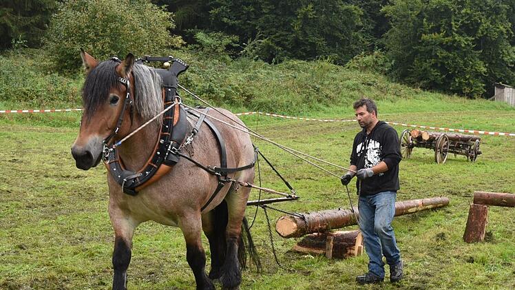 Mit dabei war der amtierende mitteldeutsche Meister im Holzrücken, Mike Jakob, mit seinem Kaltblüter Zilli.  Foto: Gabi Arnold