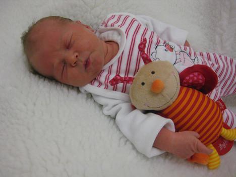 Babygalerie 139