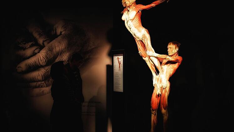 Die Ausstellung "Körperwelten - eine Herzenssache" wird noch bis zum 11. Februar im Quelle-Areal in Nürnberg gezeigt. Foto: Matthias Hoch