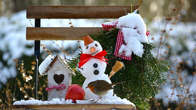 Garten im Winter
