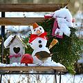 Garten im Winter