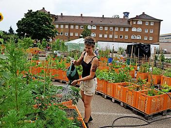 Urban Gardening, also Gärtnern in der Innenstadt, gibt es bislang nur in Großstädten - wie hier auf einem ehemaligen Quelle-Parkplatz in Nürnberg.  Foto: Ronald Rinklef