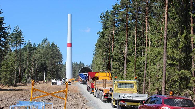 Stau auf der Waldautobahn  Foto: Friedwald Schedel