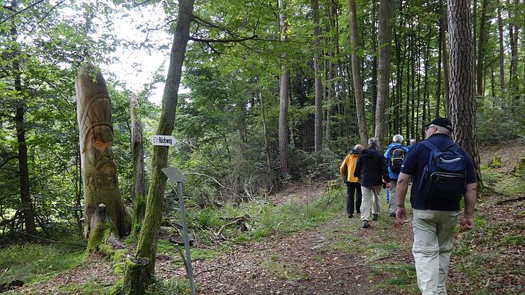 Ein Stück weit führte die "Fünf-Sterne-Wanderung" über den Skulpturenweg bei Theinheim.