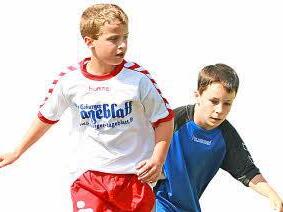 Die vielen Jugendlichen sollen in Rödental künftig optimale Bedingungen zum Fußballspielen haben. Deshalb wollen die Vereine die Kräfte bündeln. Foto: Archiv