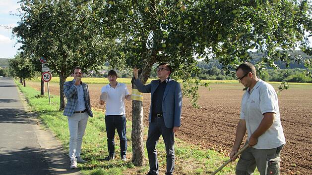 Die Allianz-Gemeinden halten jetzt &Auml;pfel f&uuml;r jeden kostenfrei vor wie Projektpartner Ren&eacute; Gerner, Allianz-Manger Holger Becker, Allianz-Vorsitzender Armin Warmuth und Bauhofleiter Thomas Heinz (von links) dies beim Start des Projekts am "Probierbaum" demonstrieren. Foto: Winfried Ehling
