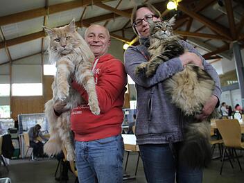 Norbert und Dagmar Hofmann aus Hessen mit ihren beiden Maine-Coon-Katzen Fotos: Gerda Völk