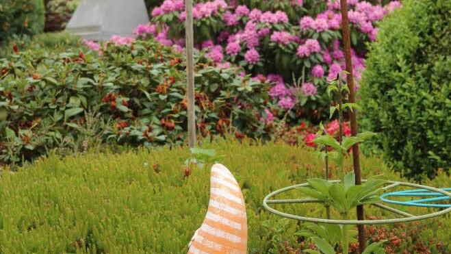 Die Traumgarten AG zu Besuch im Heidegarten von Annemarie und Manfred Heidenreich in Melkendorf. Foto: Barbara Herbst