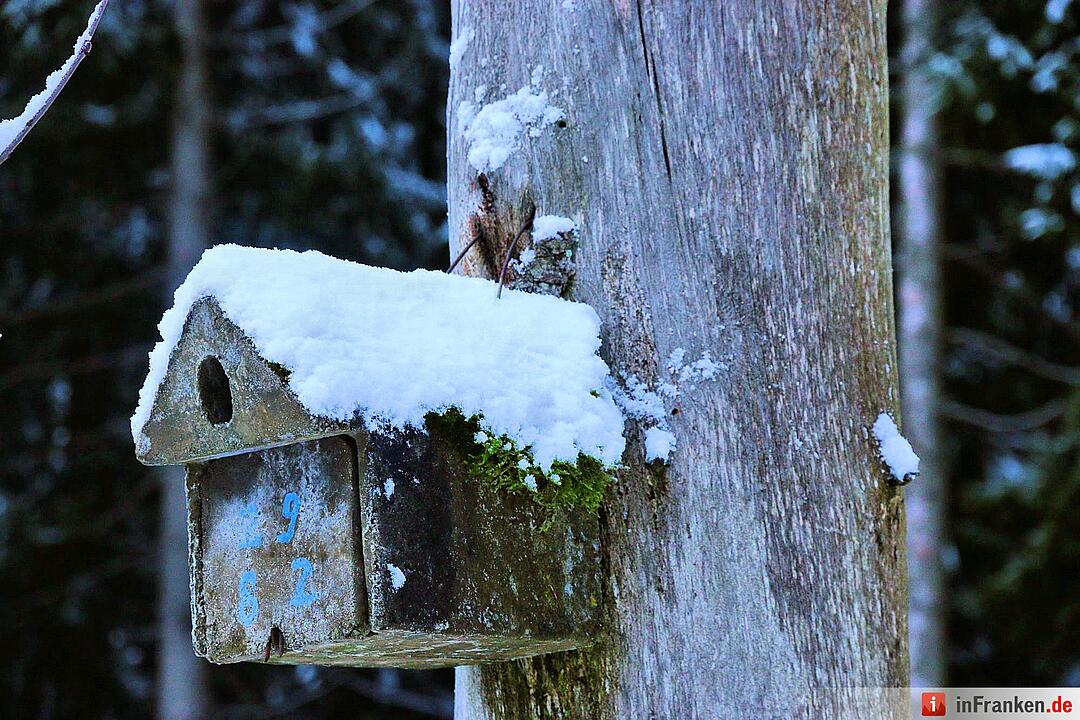 Schnee im Fichtelgebirge