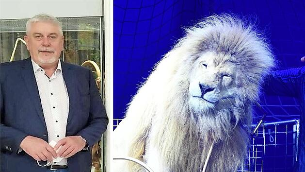 Coburg: Ex-B&uuml;rgermeister verteidigt Circus Krone-Gastspiel - "geht es besser als manchem Menschen"