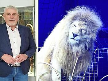 Coburg: Ex-Bürgermeister verteidigt Circus Krone-Gastspiel - "geht es besser als manchem Menschen"