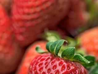 Erdbeeren in Freiburg