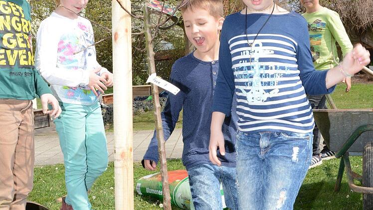 Impressionen vom Obstbaum-Pflanztag an der Grundschule Melkendorf  Foto: Dagmar Besand