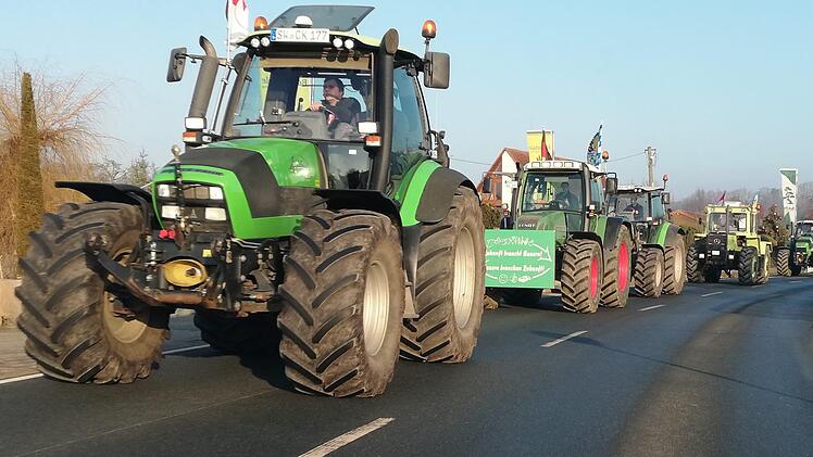 Eine Traktor-Kolonne, der sich Landwirte aus allen Himmelsrichtungen Frankens angeschlossen haben, fährt durch Effeltrich. Fotos: Martin Rehm