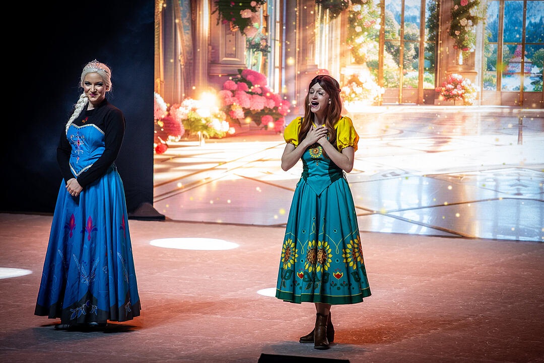 Märchenhafte Magie für alle Elsa, Anna und Olaf Fans!