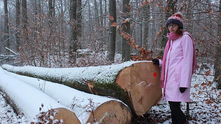 MdB Lisa Badum protestiert gegen Fällungen im Hohen Buchenen Wald. Foto: privat