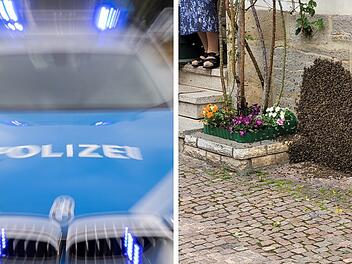 Ebern: Bienenvolk l&ouml;st Polizeieinsatz in der Stadt aus