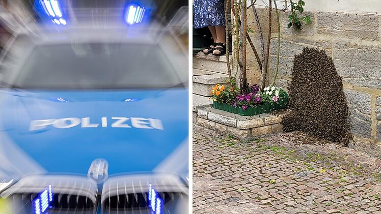 Ebern: Bienenvolk l&ouml;st Polizeieinsatz in der Stadt aus