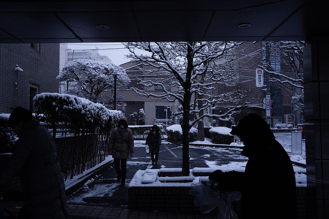 Unterhauswahl in Japan