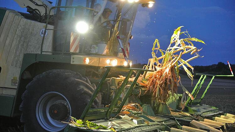Der Maishäcksler darf nicht stehen bleiben. Stunden um Stunden bis nachts um 22 Uhr ist er zurzeit in Betrieb.