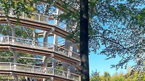 Der Baumwipfelpfad wird von einem Markt umrahmt.