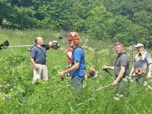 Erstmals in der Vereinsgeschichte des Rhönklub-Zweigvereins Walddörfer wurde eine Lupinenmahd am Feuerberg durchgeführt.  Foto: Marion Eckert