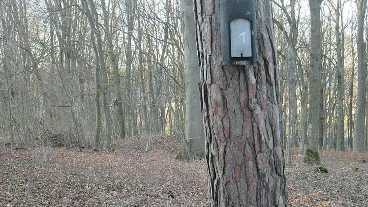Die Arbeiten am Waldfriedhof sollen in Kürze beginnen.