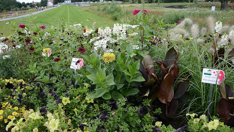 Impressionen von der Landesgartenschau in Bayreuth Foto: Dagmar Besand