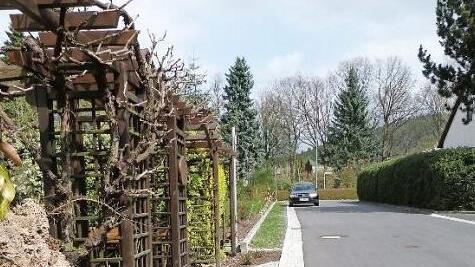 Der Grünstreifen am Dahlienweg ruft bei zwei Anliegern immer wieder Ärger hervor.  Foto: Werner Reißaus