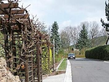 Der Grünstreifen am Dahlienweg ruft bei zwei Anliegern immer wieder Ärger hervor.  Foto: Werner Reißaus