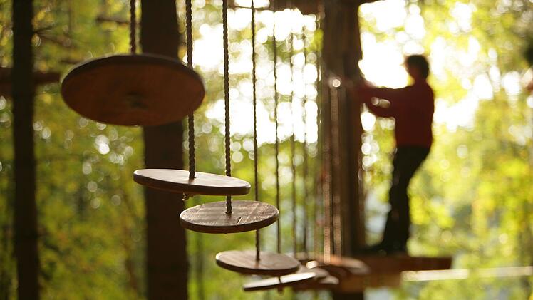 Der Kletterpark am Untreusee bietet sportliche Herausforderung zwischen den Ästen und Wipfeln des natürlichen Baumbestands.