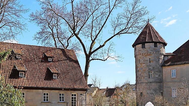 Am Schlosspark findet das Rahmenprogramm beim „Tag der offenen Gartentür“ statt.