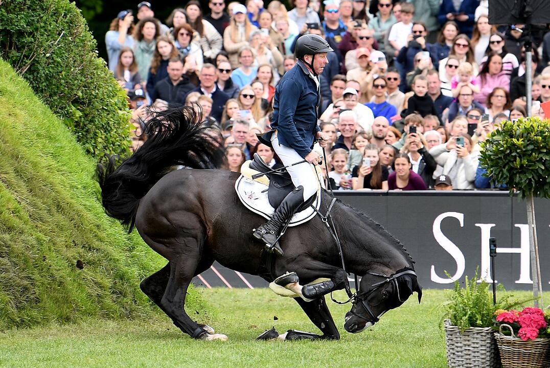 Deutsches Spring- und Dressur Derby