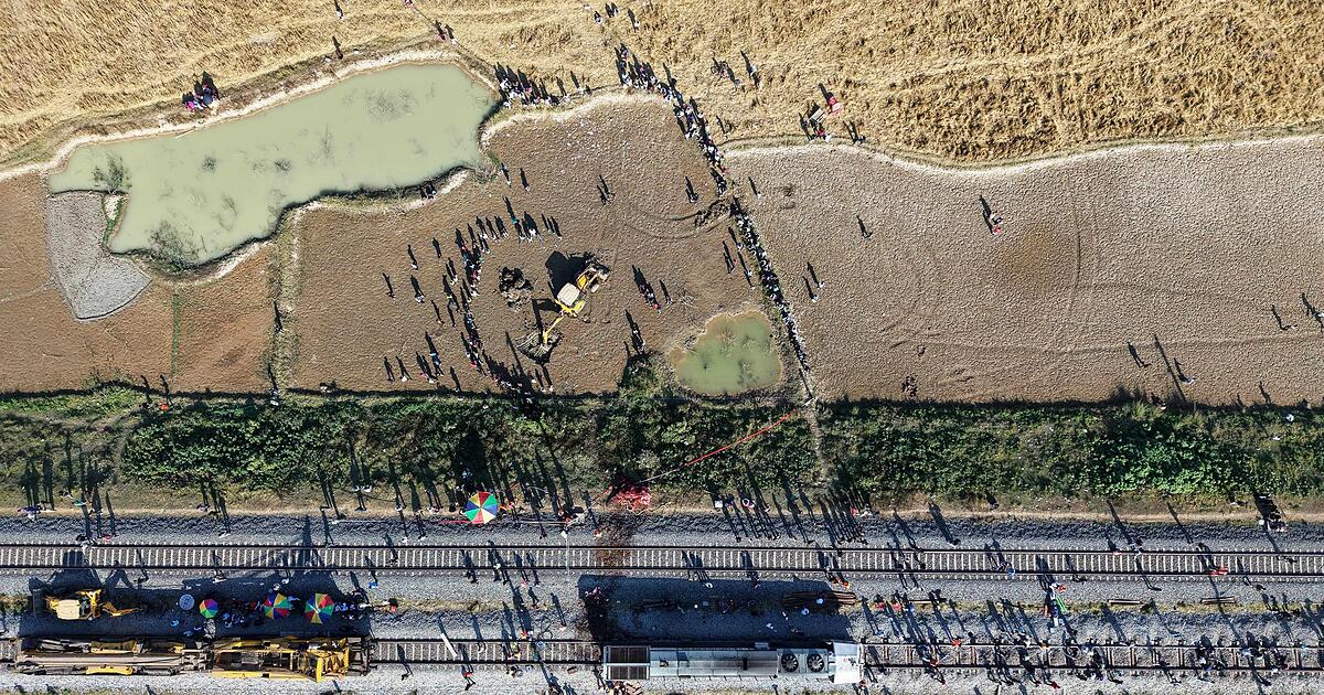 Sieben-Elefanten-sterben-in-Indien-bei-Kollision-mit-Zug