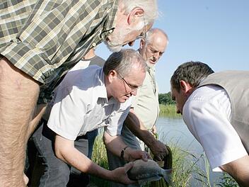 Martin Oberle begutachtet einen der von Michael Lindenberger (2.v.r.) aus dem Weiher gefangenen K3- Karpfen. Mit dabei Thomas Kainz  (l.) und MdL Thorsten Glauber (r.). Foto: Mathias Erlwein