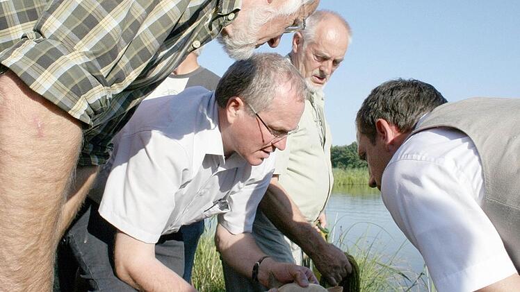 Martin Oberle begutachtet einen der von Michael Lindenberger (2.v.r.) aus dem Weiher gefangenen K3- Karpfen. Mit dabei Thomas Kainz  (l.) und MdL Thorsten Glauber (r.). Foto: Mathias Erlwein