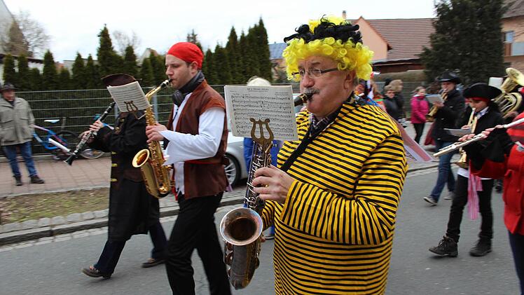 Der Faschingsumzug in Höchstadt war auch 2017 wieder sehr gut besucht. Foto: Christian Bauriedel