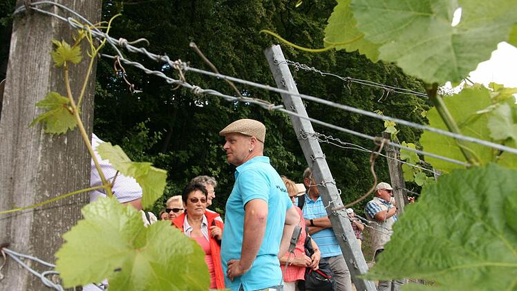 Weinbergwanderung der Saale Zeitung von Wirmsthal nach Wirmsthal 15. Juni 2014