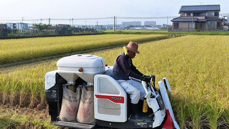 Reis-Vollernter mit Sackabfüllung - gesehen auf dem Land in Japan.Foto: Manfred Wagner
