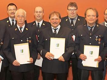 Führungskräfte des Landkreises zeichneten beim Feuerwehrehrungsabend der Gemeinde Ahorn verdiente Wehrleute für 25 und 40 Jahre Dienst mit staatlichen Ehrenzeichen aus.  Foto: Michael Stelzner