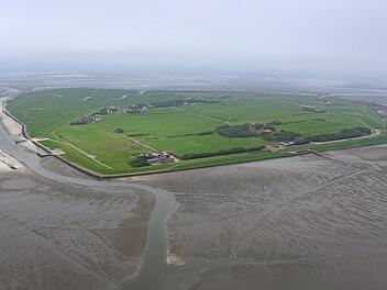 Insel Neuwerk
