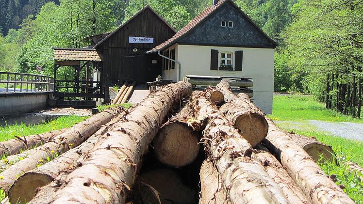 Die Teichmühle ins Steinwiesen Foto: Susanne Deuerling