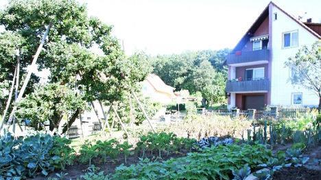 Ein Teilbereich von Ludwig Schneiders Garten in Eyrichshof. In unregelmäßigen Abständen verursacht ein Unbekannter hier Schäden, es wurden auch schon Pflanzen niedergetrampelt.