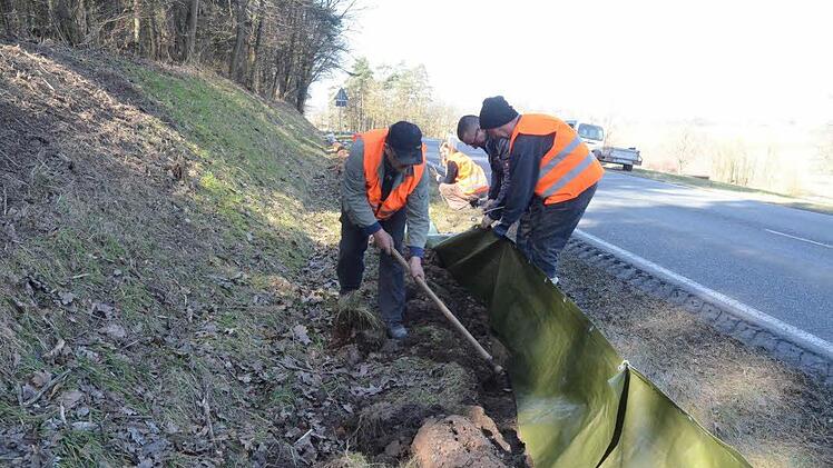 Entlang der KC 25 werden Amphibienschutzzäune errichtet um die Tiere vom Überqueren der viel befahrenen Kreisstraße zu schützen. Frank Maaß (Zweiter von rechts) ist der verantwortliche Organisator vom Landespflegeverband Frankenwald.  Foto: Karl-Heinz Hofmann
